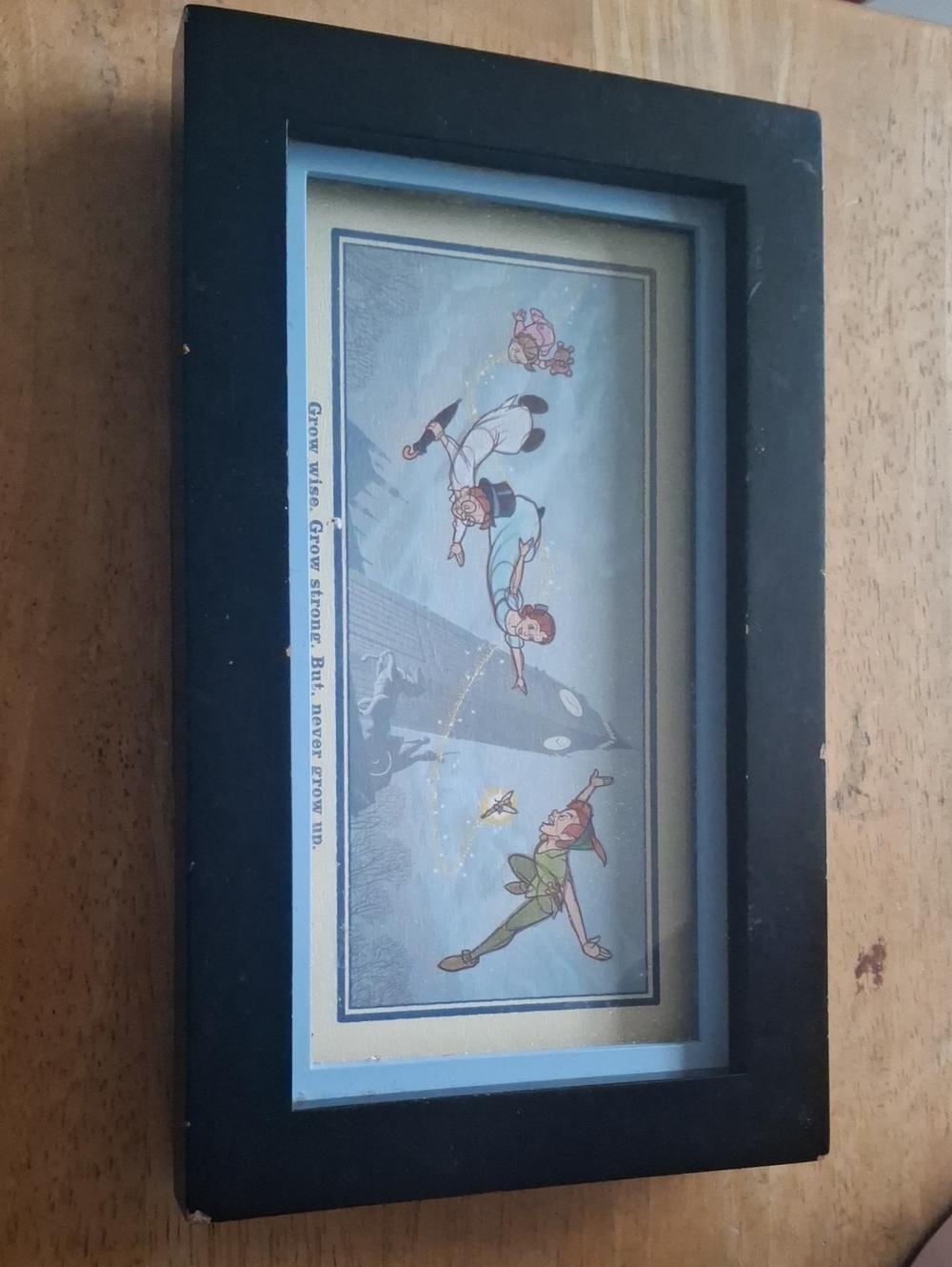 Disney /Hallmark Peter Pan Picture Grow wise Grow Strong but Never Grow Up